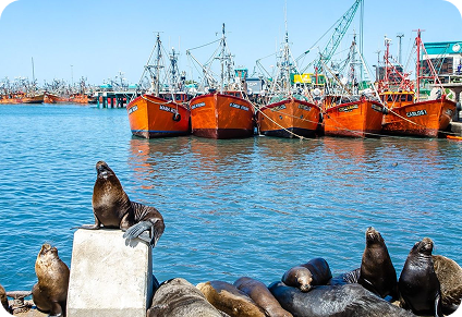 Pasajes a Mar del Plata