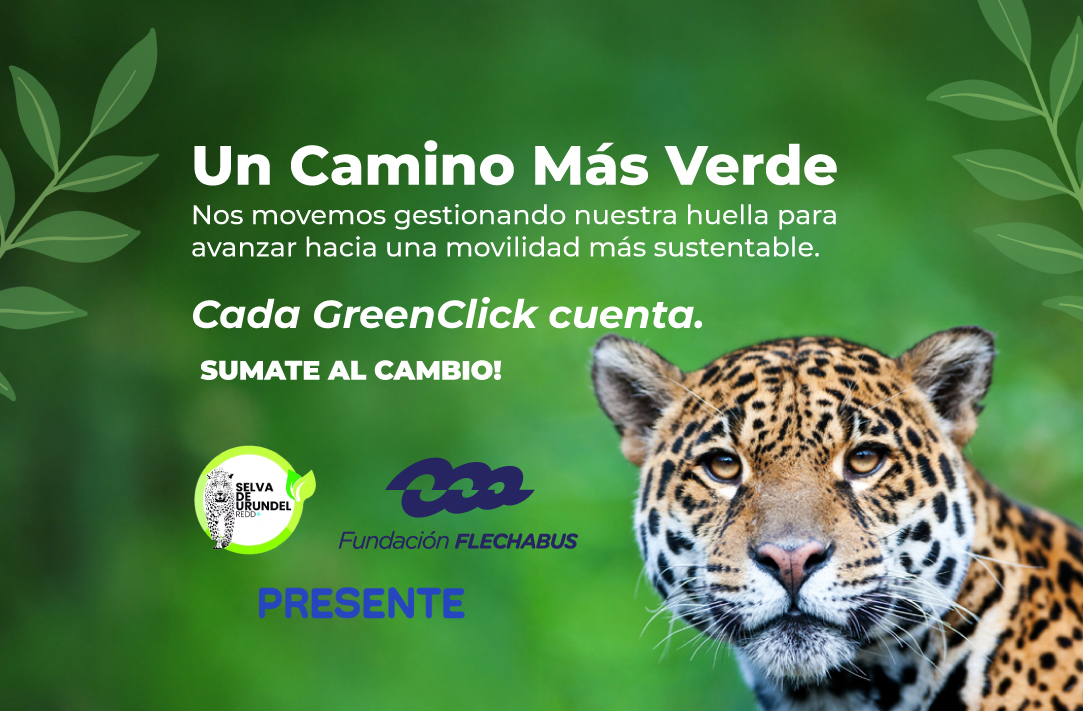 Descripción imagen móvil